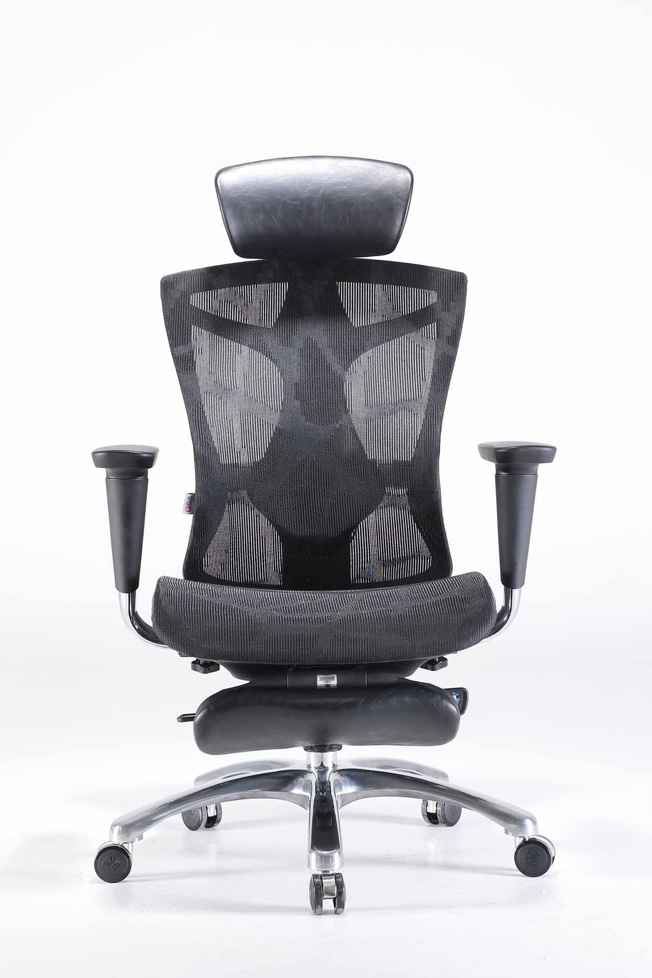 Sihoo V1 Ergonomic Office Chair