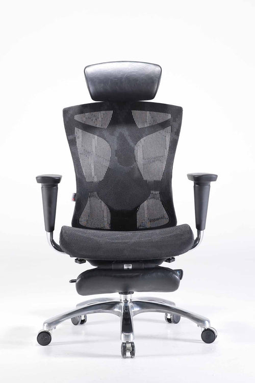 Sihoo V1 Ergonomic Office Chair