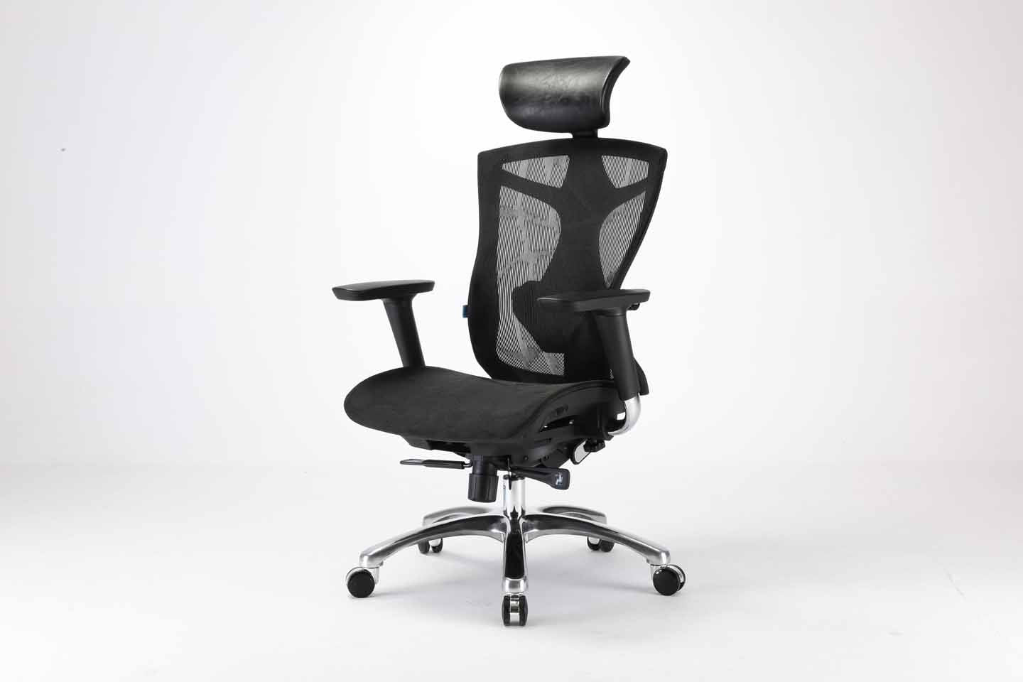 Sihoo V1 Ergonomic Office Chair