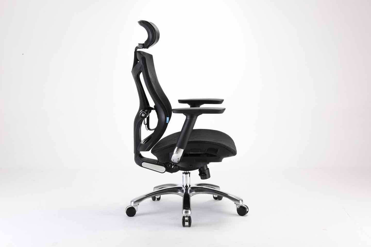 Sihoo V1 Ergonomic Office Chair