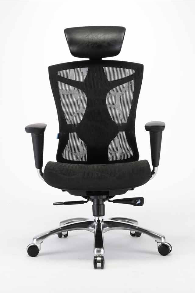 Sihoo V1 Ergonomic Office Chair