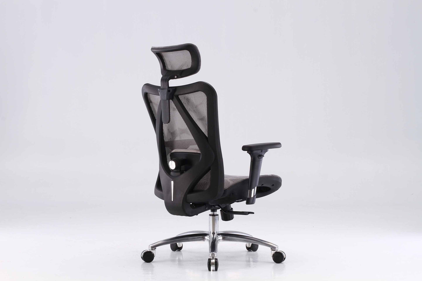 Sihoo M57 Ergonomic Office Chair